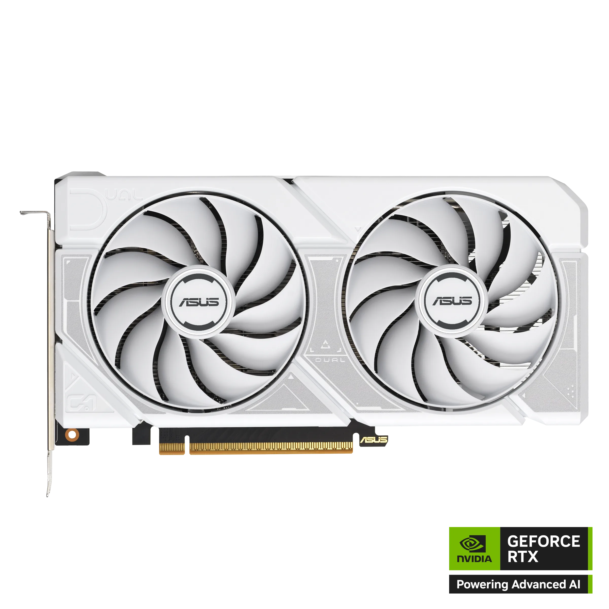 Placa De Video Asus Nvidia Geforce Dual Rtx5060 O8