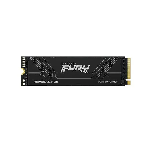 Disco SSD M.2 KINGSTON FURY RENEGADE 1000 GB NVMe GEN5  PCIe 5.0 (9481)