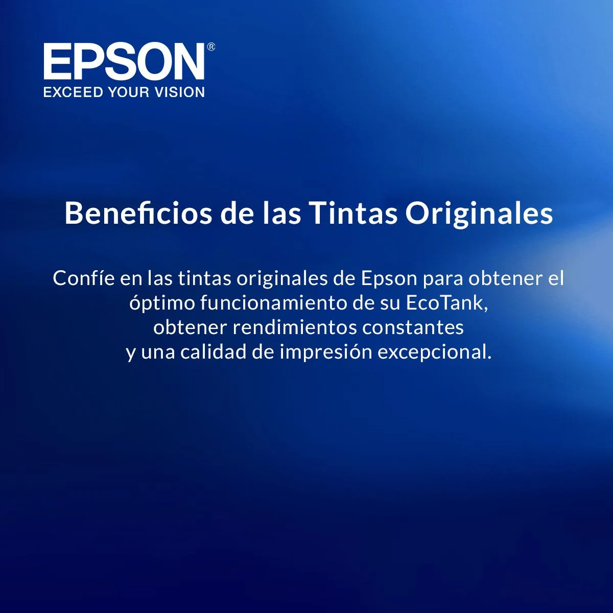 Botella de Tinta Epson T774120-AL Negro — foto 7